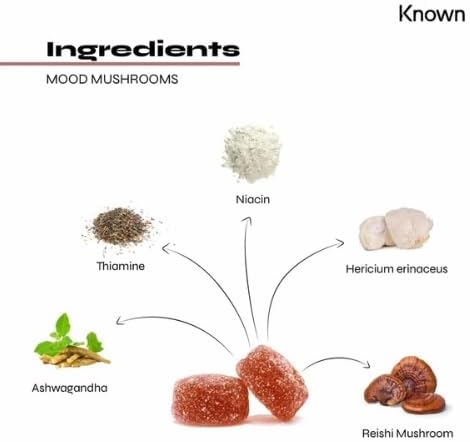 Known Mood Mushrooms Gummies – Lion’s Mane, B Vitamins, Brain Health & Hormone Balance, Natural Apple Pie Flavour – 60 Vegan Gummies, 1 Month Supply - END Nutrition
