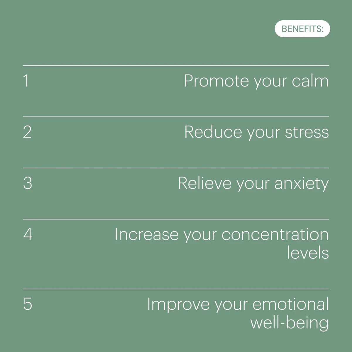 Be Levels Be Calm – Stress Relief & Relaxation – Vegan Adaptogen Formula with Ashwagandha, Rhodiola, L‑Theanine, Magnesium & Vitamin B6 - END Nutrition