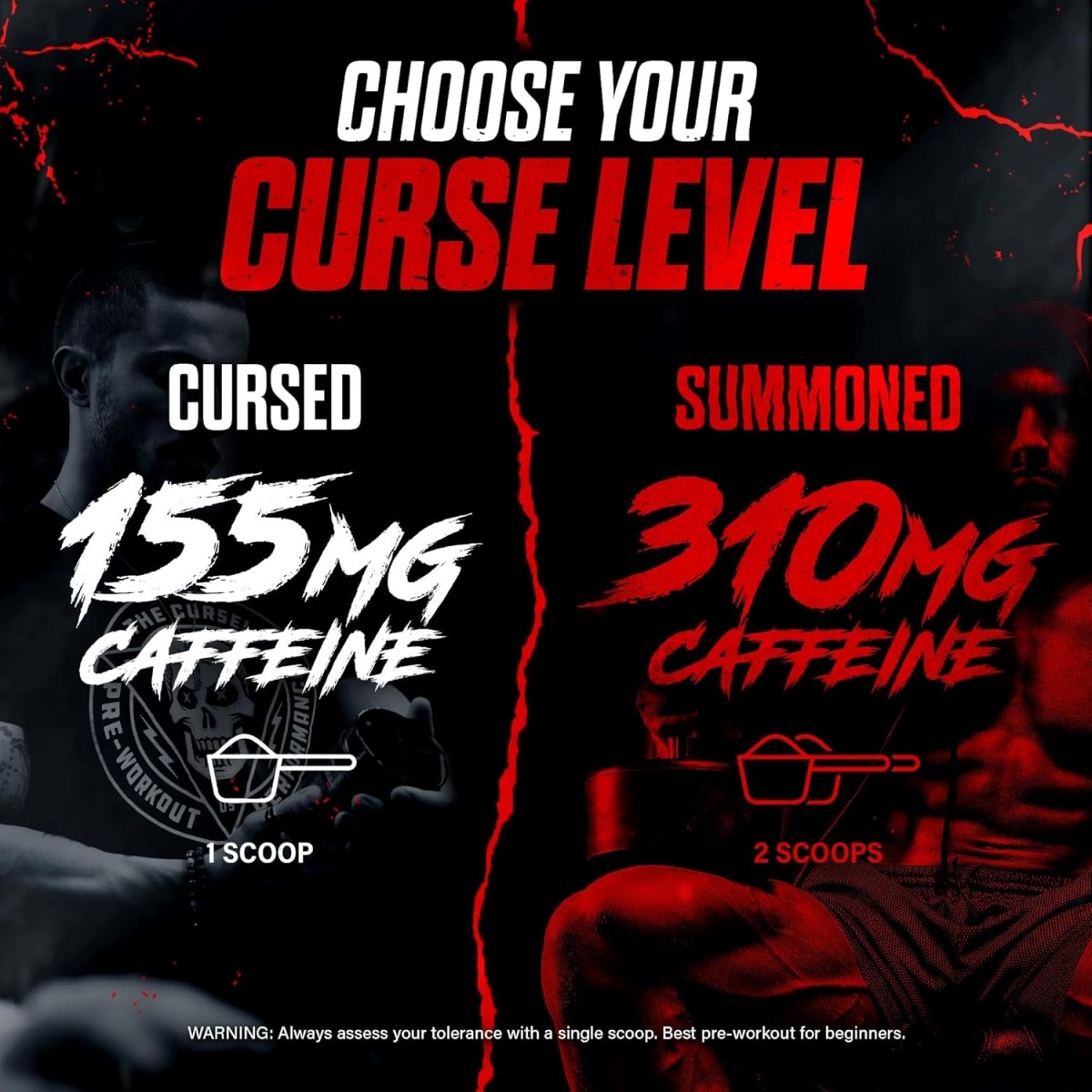 JNX Sports The Curse Pre - Workout Blue Raspberry Ice Energy & Focus 50 Servings - END Nutrition