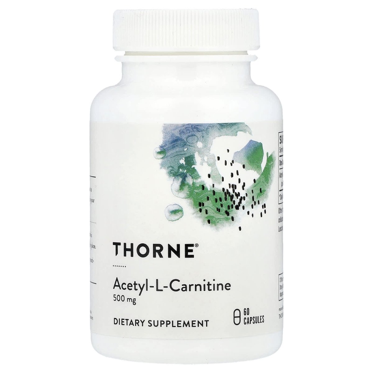 Thorne Acetyl-L-Carnitine 500 mg – 60 Capsules | Cognitive & Nerve Health Support - endnutrition.com
