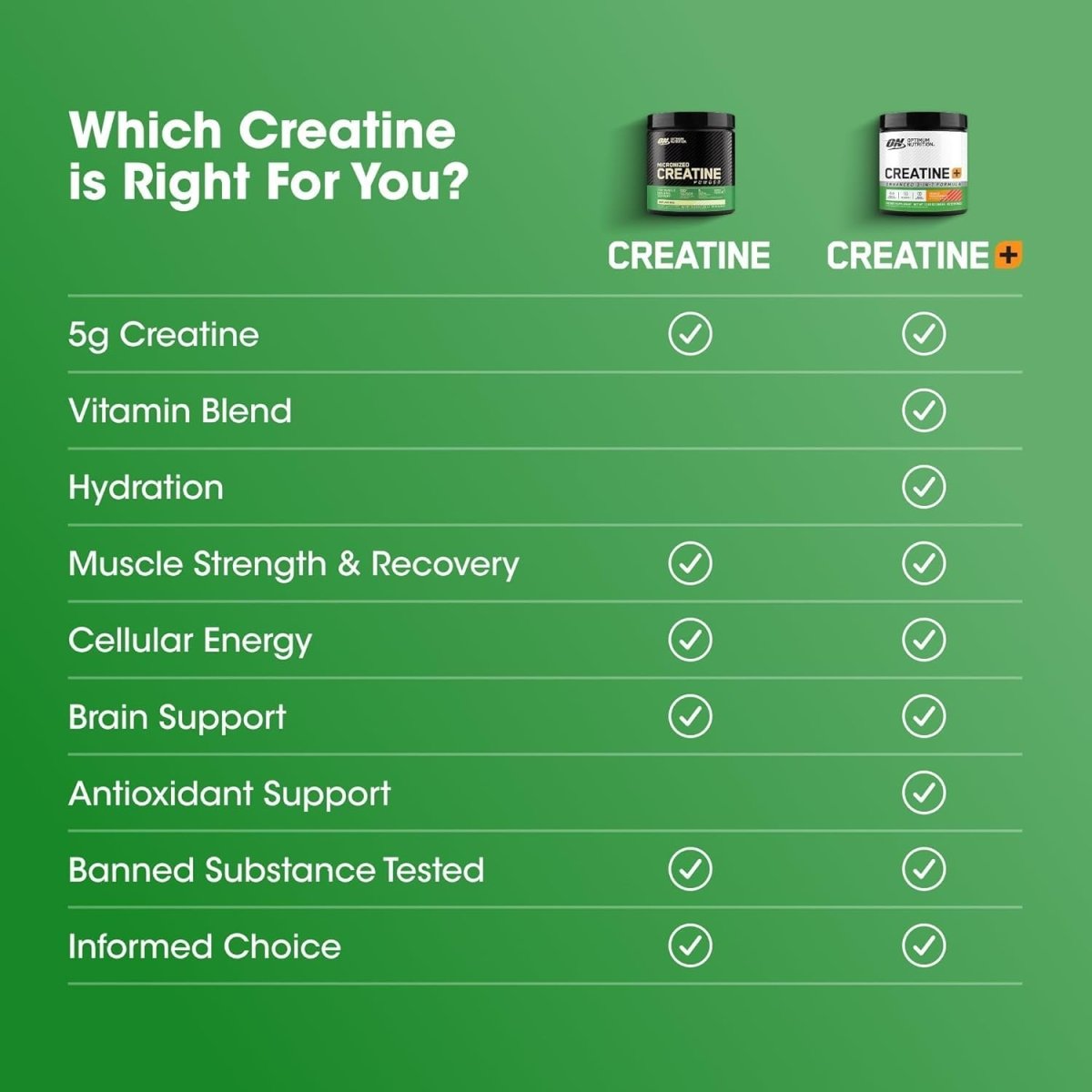 Optimum Nutrition Creatine Powder – Unflavored, 600g – 5g Micronized Creatine Monohydrate for Strength, Power & Recovery - Endnutrition.com