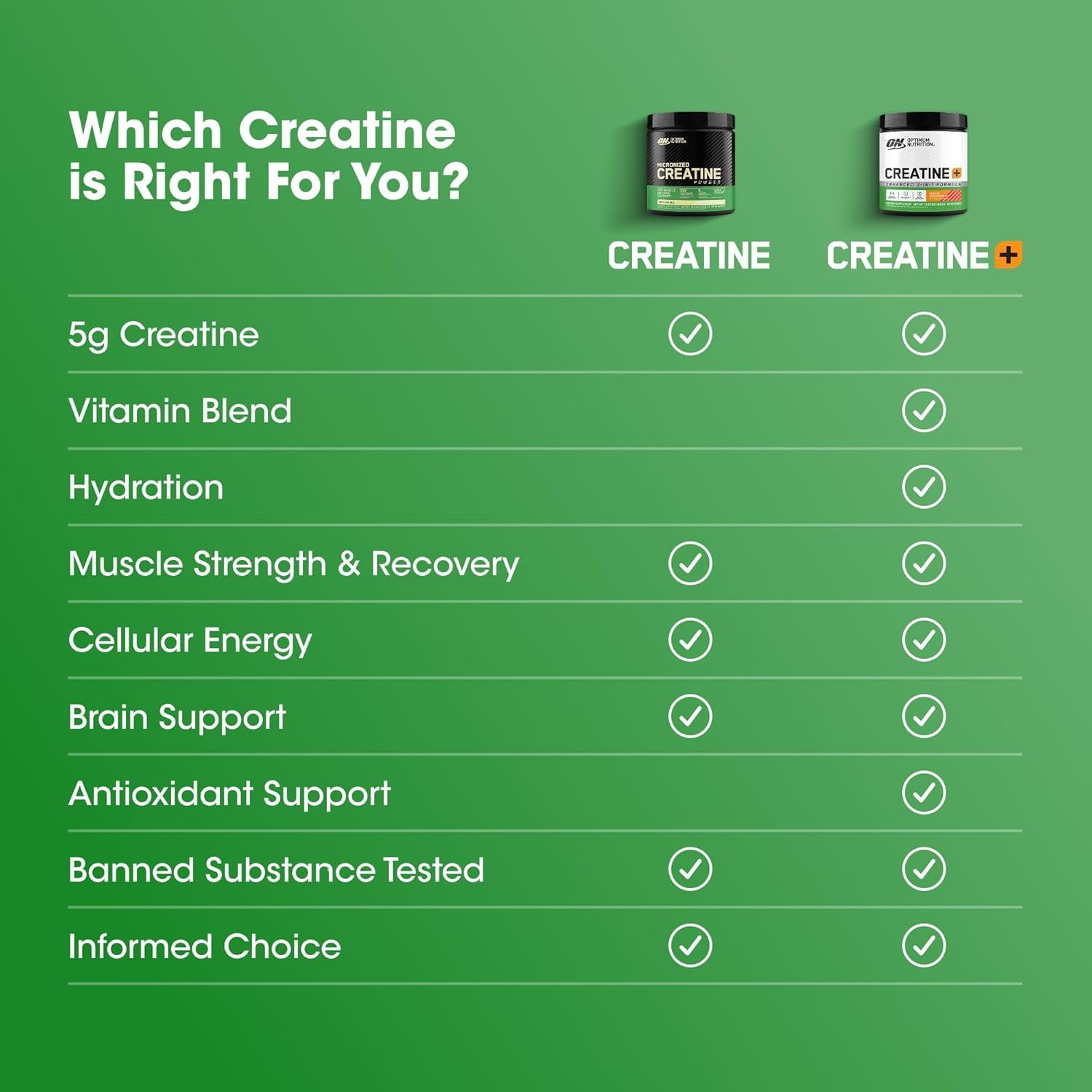 Optimum Nutrition Creatine Powder – Unflavored, 600g – 5g Micronized Creatine Monohydrate for Strength, Power & Recovery
