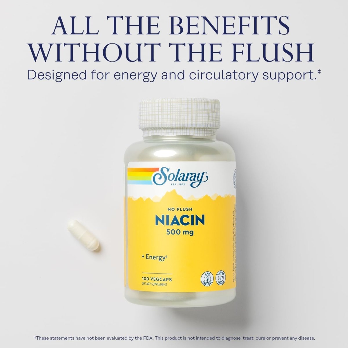 Solaray No Flush Niacin 500 mg – Flush‑Free Vitamin B3 – Energy, Circulation & Metabolism Support – 100 Vegan Capsules - END Nutrition