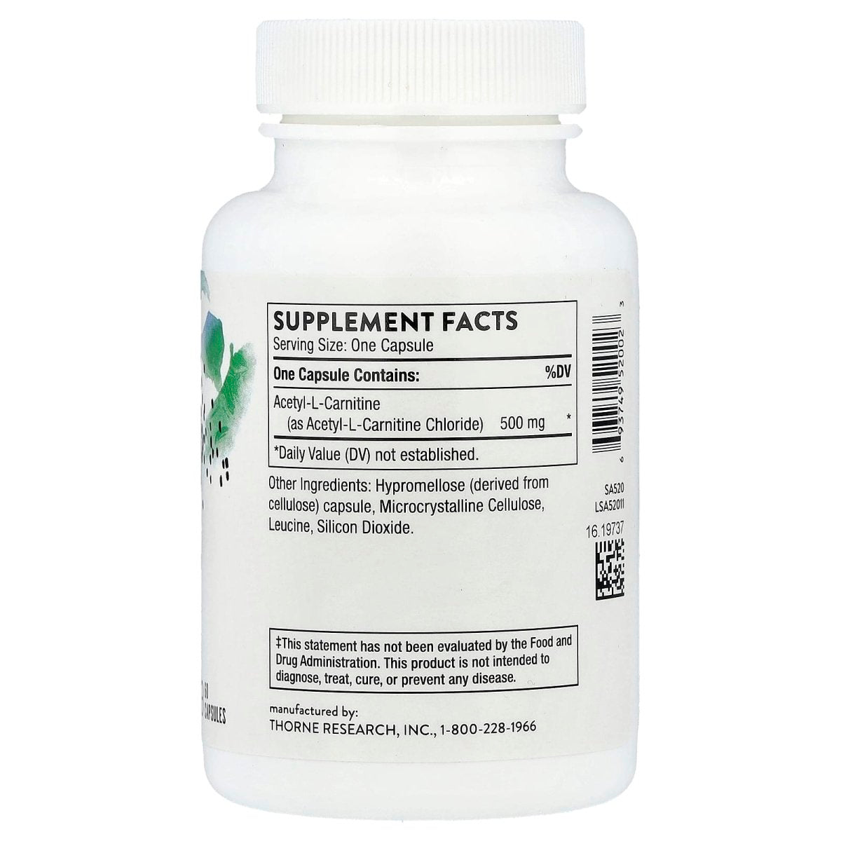 Thorne Acetyl-L-Carnitine 500 mg – 60 Capsules | Cognitive & Nerve Health Support - endnutrition.com