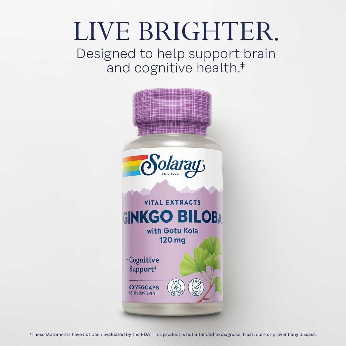 Solaray Ginkgo Biloba Leaf Extract – Healthy Circulation, Memory & Brain Function – One Daily – 60 Vegan Capsules - END Nutrition