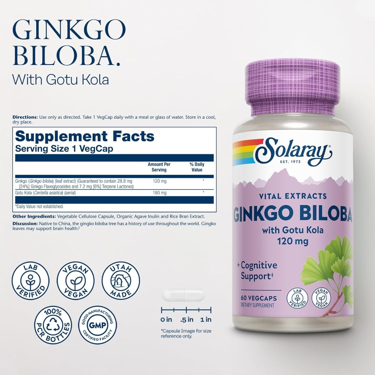 Solaray Ginkgo Biloba Leaf Extract – Healthy Circulation, Memory & Brain Function – One Daily – 60 Vegan Capsules - END Nutrition