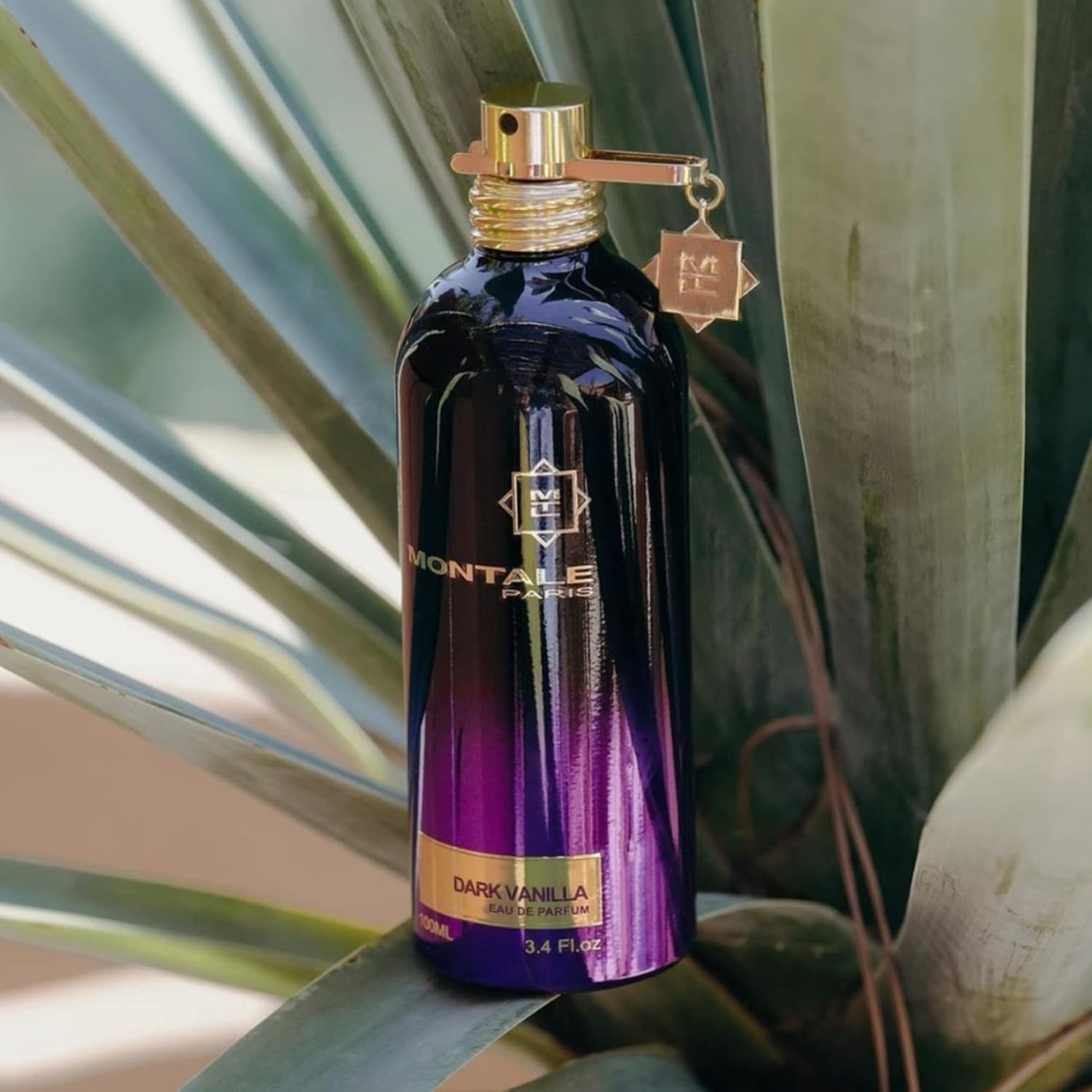 Montale Dark Purple Eau de Parfum – Fruity Floral Oriental Scent – 100ml