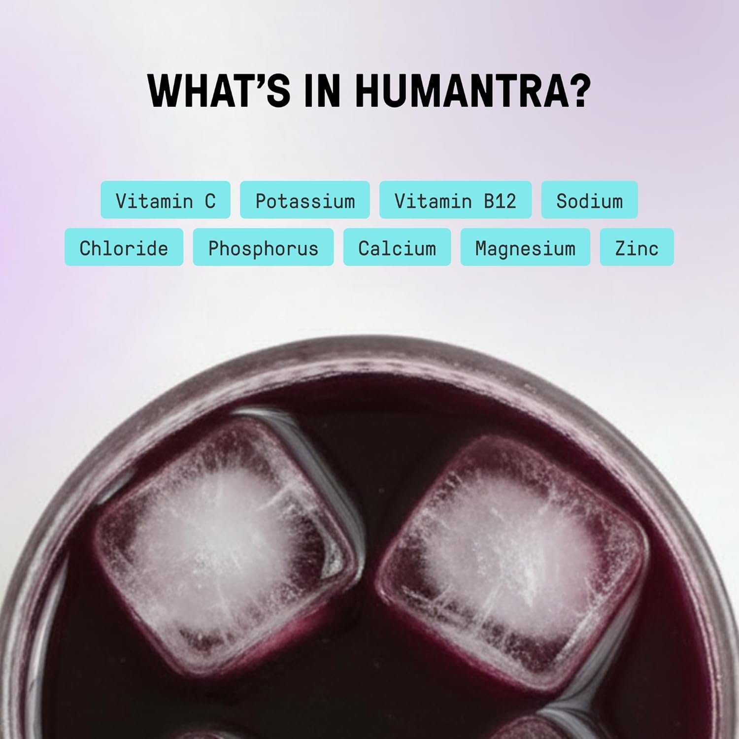 Humantra Electrolyte Powder – Elderberry (20 Sachets) | 6-Electrolyte Hydration | Plant-Based, Vegan, Sugar Free & Gluten Free - END General Trading