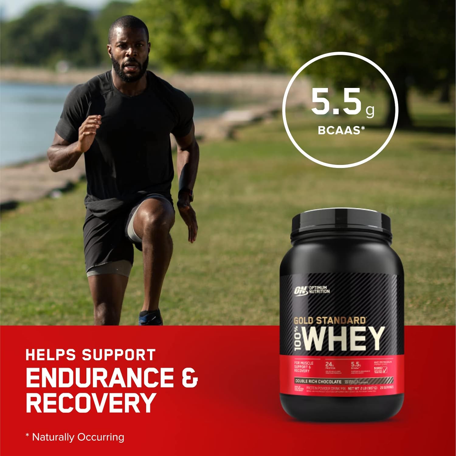 Optimum Nutrition Gold Standard Whey Strawberry 5lb – Muscle Recovery Protein Powder