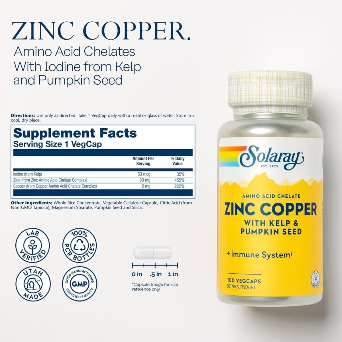 Solaray Zinc Copper Amino Acid Chelate – Immune, Bone, Skin, Heart & Thyroid Support – With Iodine from Kelp – 100 Vegan Capsules - END Nutrition