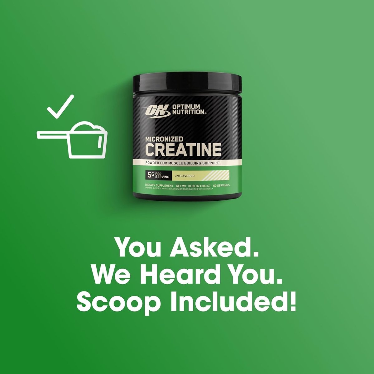 Optimum Nutrition Creatine Powder – Not Flavored – 300g - Endnutrition.com