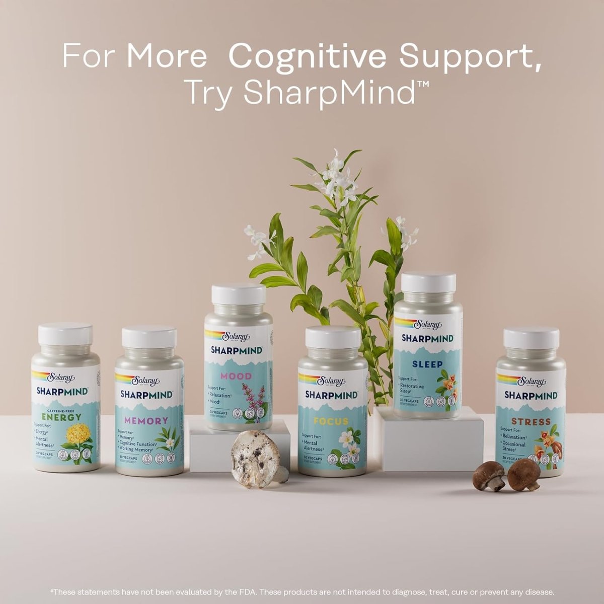 Solaray Ginkgo Biloba Leaf Extract – Healthy Circulation, Memory & Brain Function – One Daily – 60 Vegan Capsules - END Nutrition