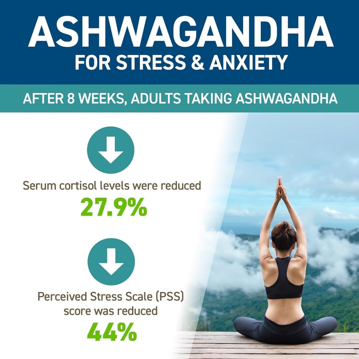 Applied Nutrition Ashwagandha KSM‑66 – Premium Herbal Supplement – Energy, Stress & Anxiety Support – 60 Capsules - END Nutrition