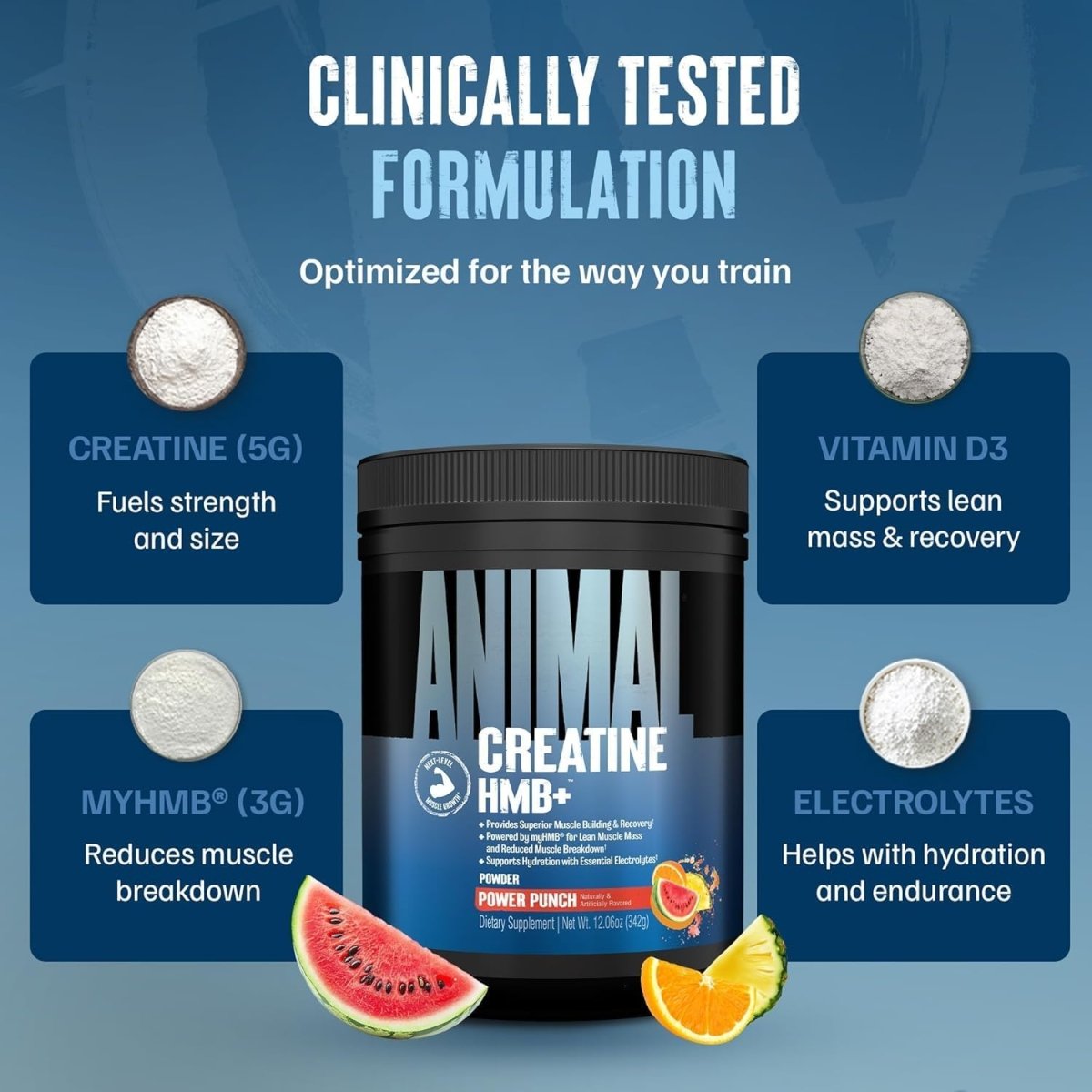 Universal Nutrition Animal Creatine HMB+ – Strength, Recovery & Power Formula – Power Punch Flavor – 342 g - END General Trading