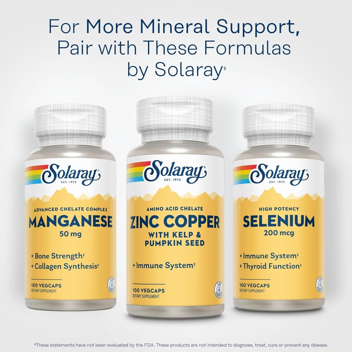 Solaray Zinc Copper Amino Acid Chelate – Immune, Bone, Skin, Heart & Thyroid Support – With Iodine from Kelp – 100 Vegan Capsules - END Nutrition