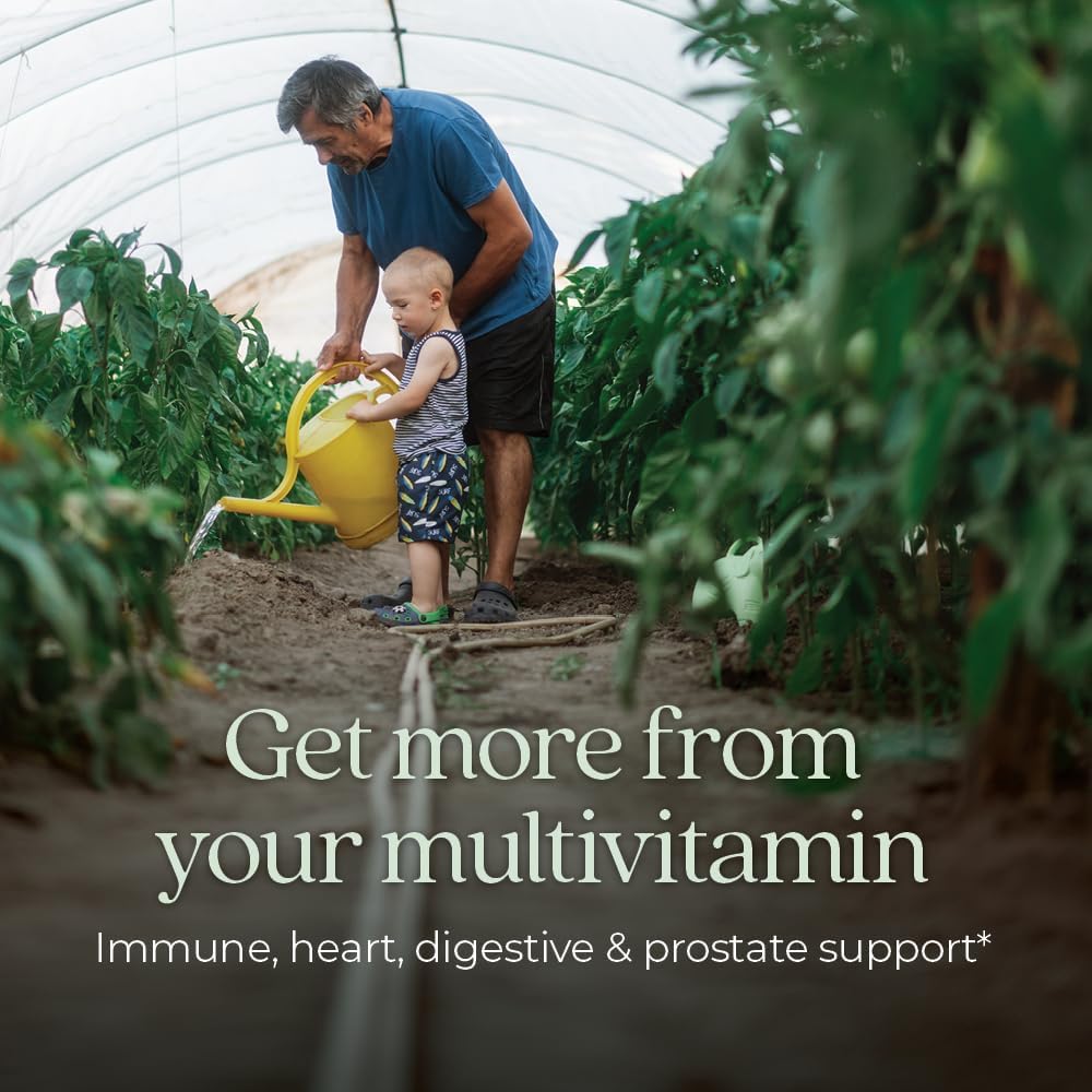 New Chapter Men’s Multivitamin 50+ One Daily – Brain, Heart & Prostate Support, Gentle, Non - GMO, 72 Tablets - END Nutrition