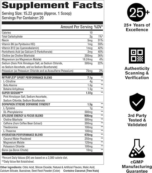 GAT Nitraflex Sport Pre Workout Powder Fruit Punch 20 Servings Energy Strength Focus Hydration - END Nutrition