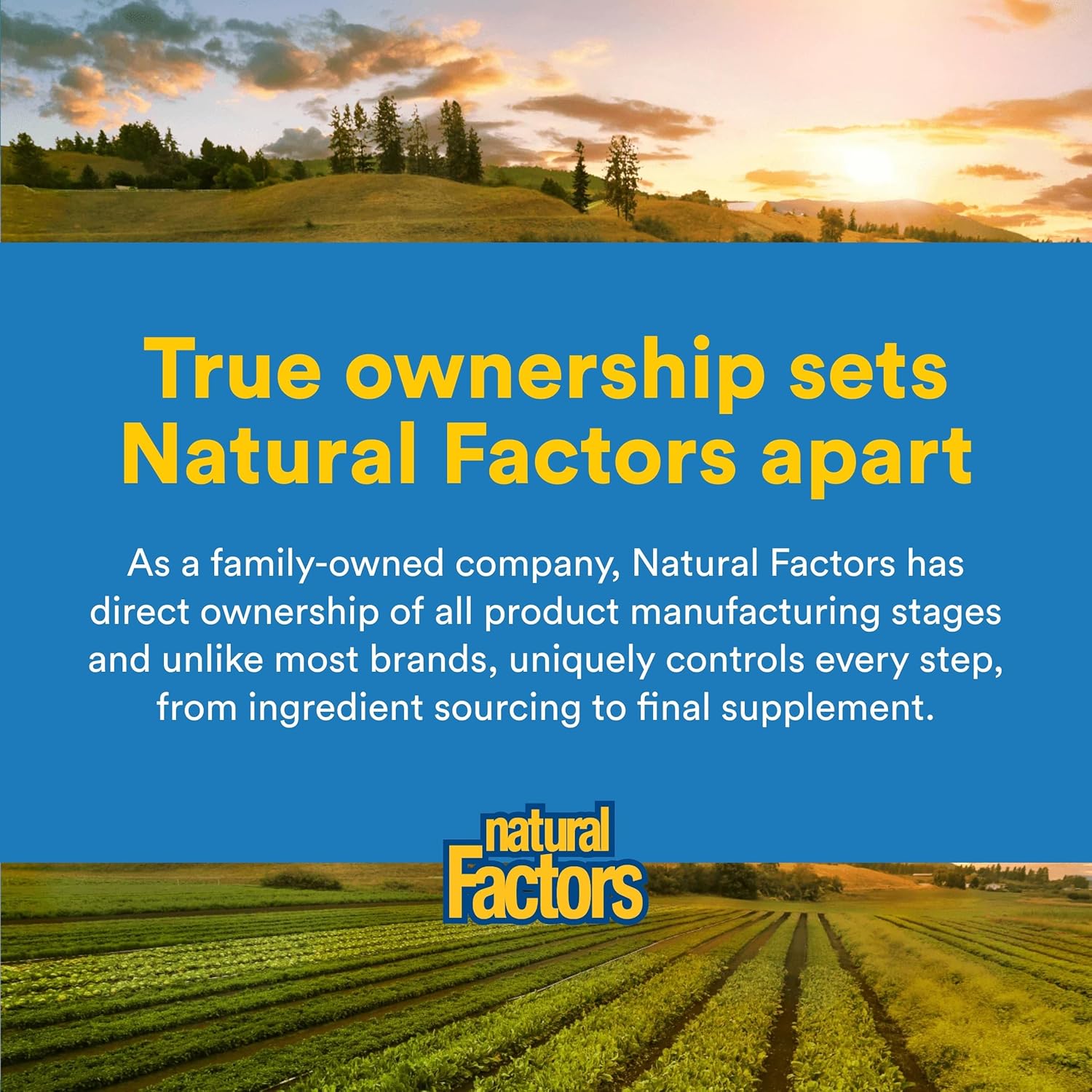 Natural Factors Vitamin K2 – 100 mcg – 60 Veg Capsules – Bone Strength, Heart Health & Calcium Support