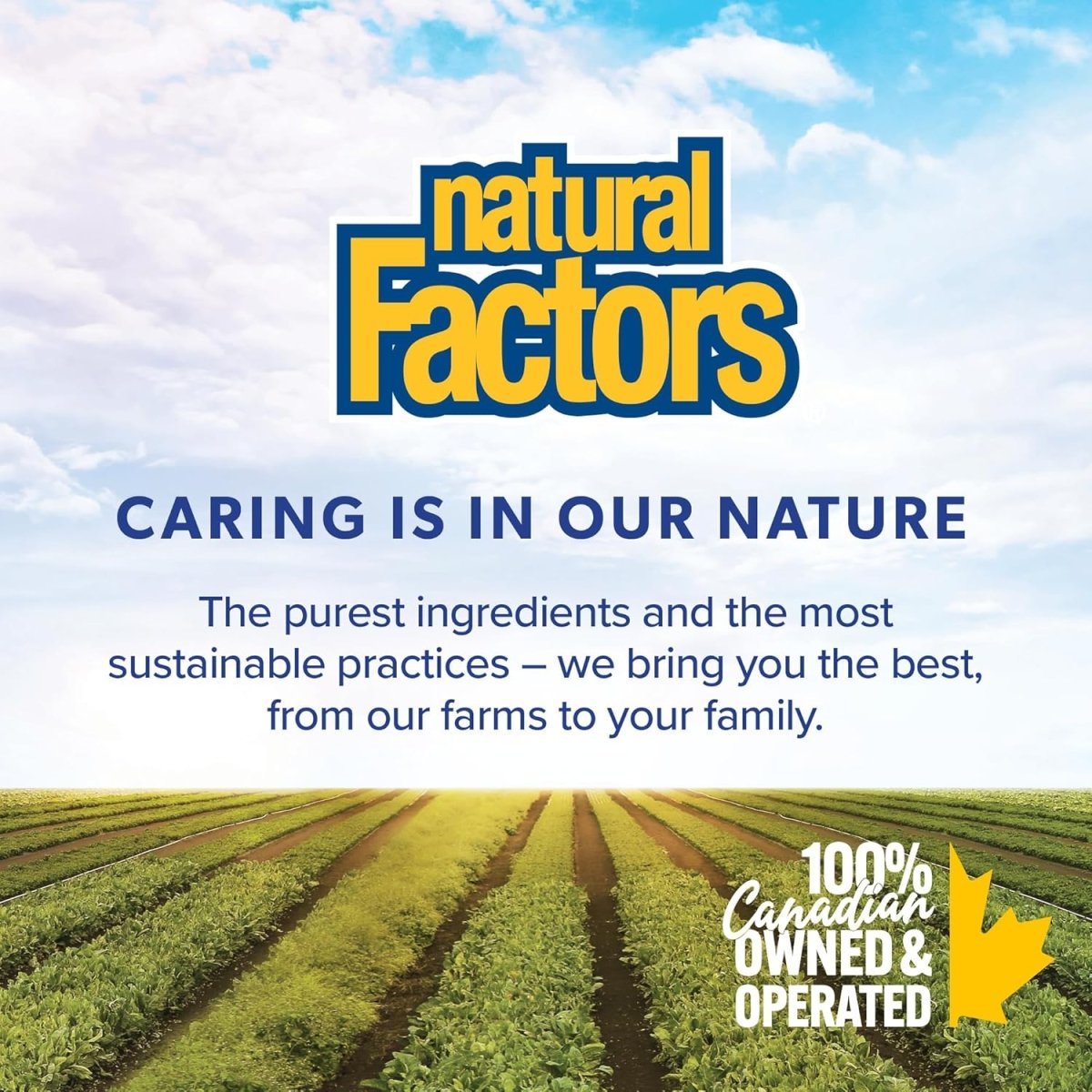 Natural Factors Kelp Iodine 750 mcg 180 Tablets – Thyroid Support - Endnutrition.com