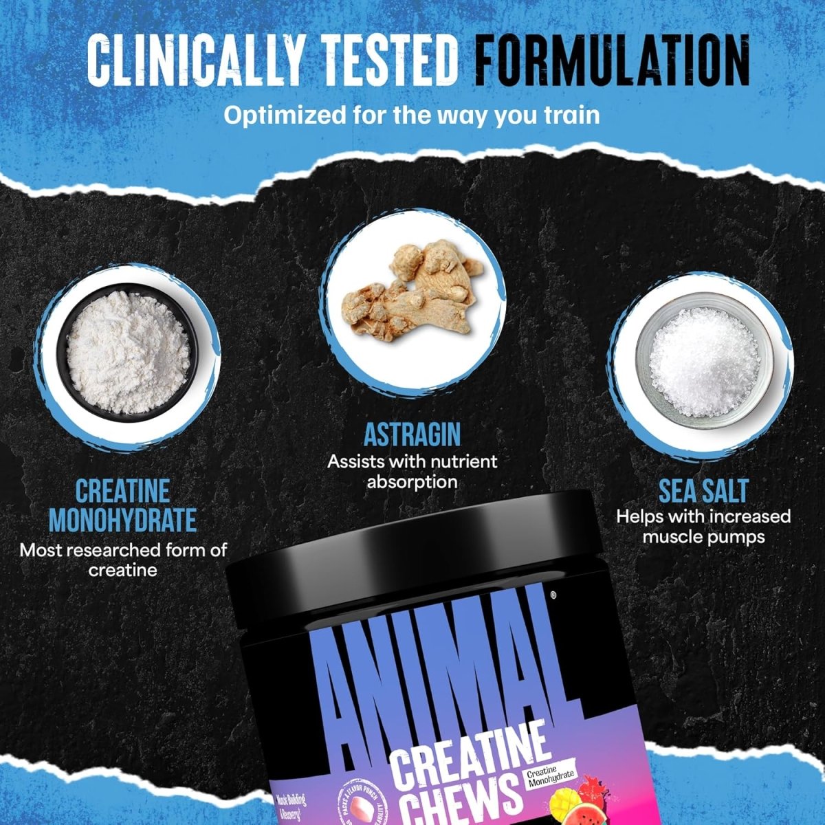 Universal Nutrition Animal Creatine Chews – Micronized Creatine for Strength, Recovery & Energy – Fruit Punch Flavor – 120 Chews - END General Trading