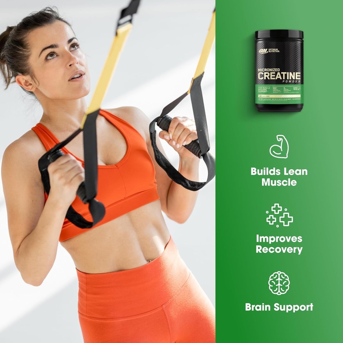 Optimum Nutrition Creatine Powder – Unflavored, 600g – 5g Micronized Creatine Monohydrate for Strength, Power & Recovery - Endnutrition.com