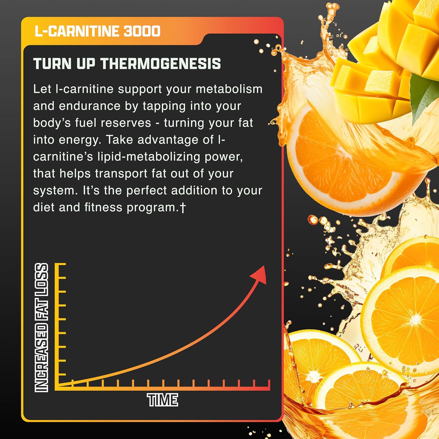 Nutrex Liquid L‑Carnitine 3000 – Orange Mango – 31 Servings – Fat Metabolism, Energy & Endurance Support