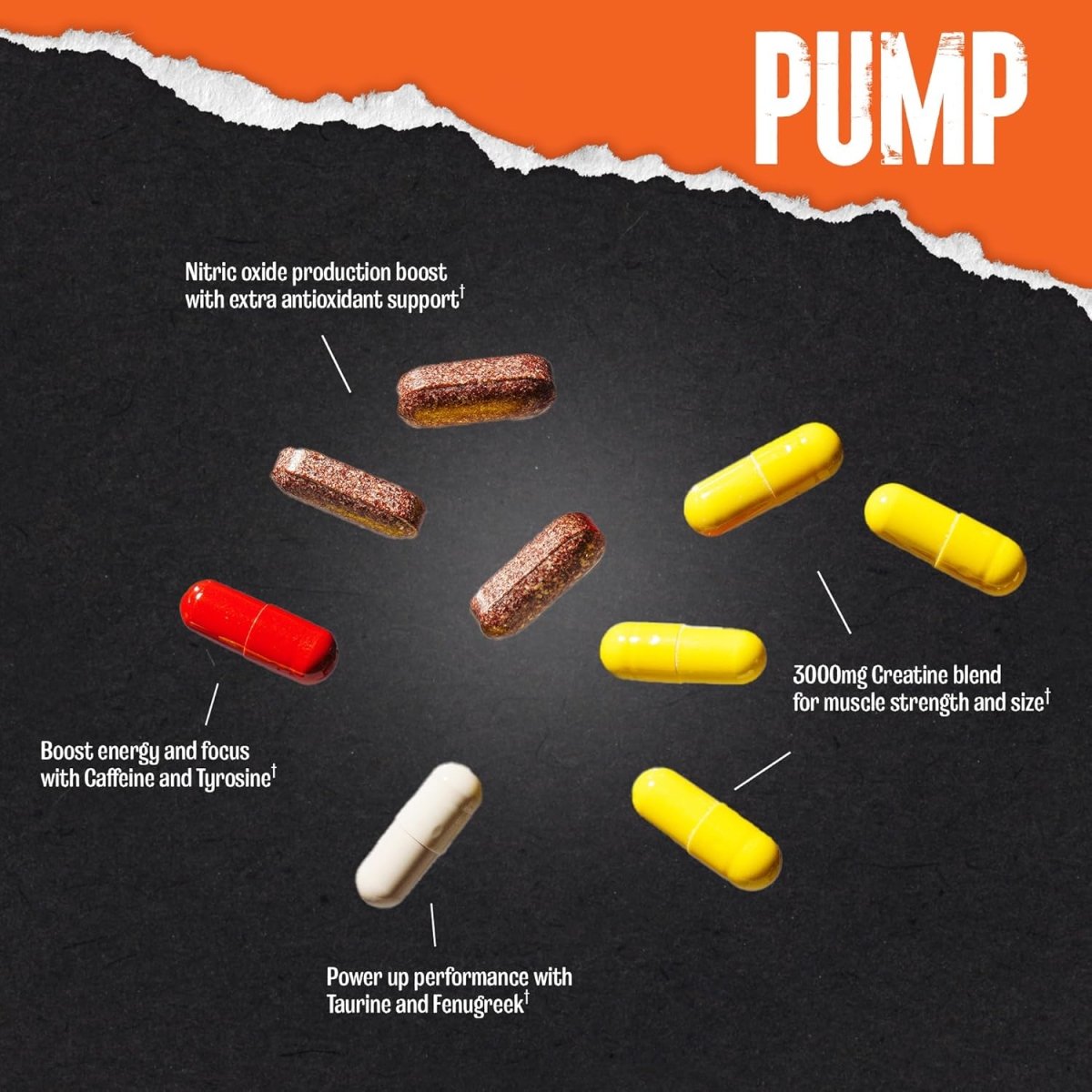 Universal Animal Pump – 30 Packs – Pre‑Workout Nitric Oxide & Muscle Pump Formula - END Nutrition