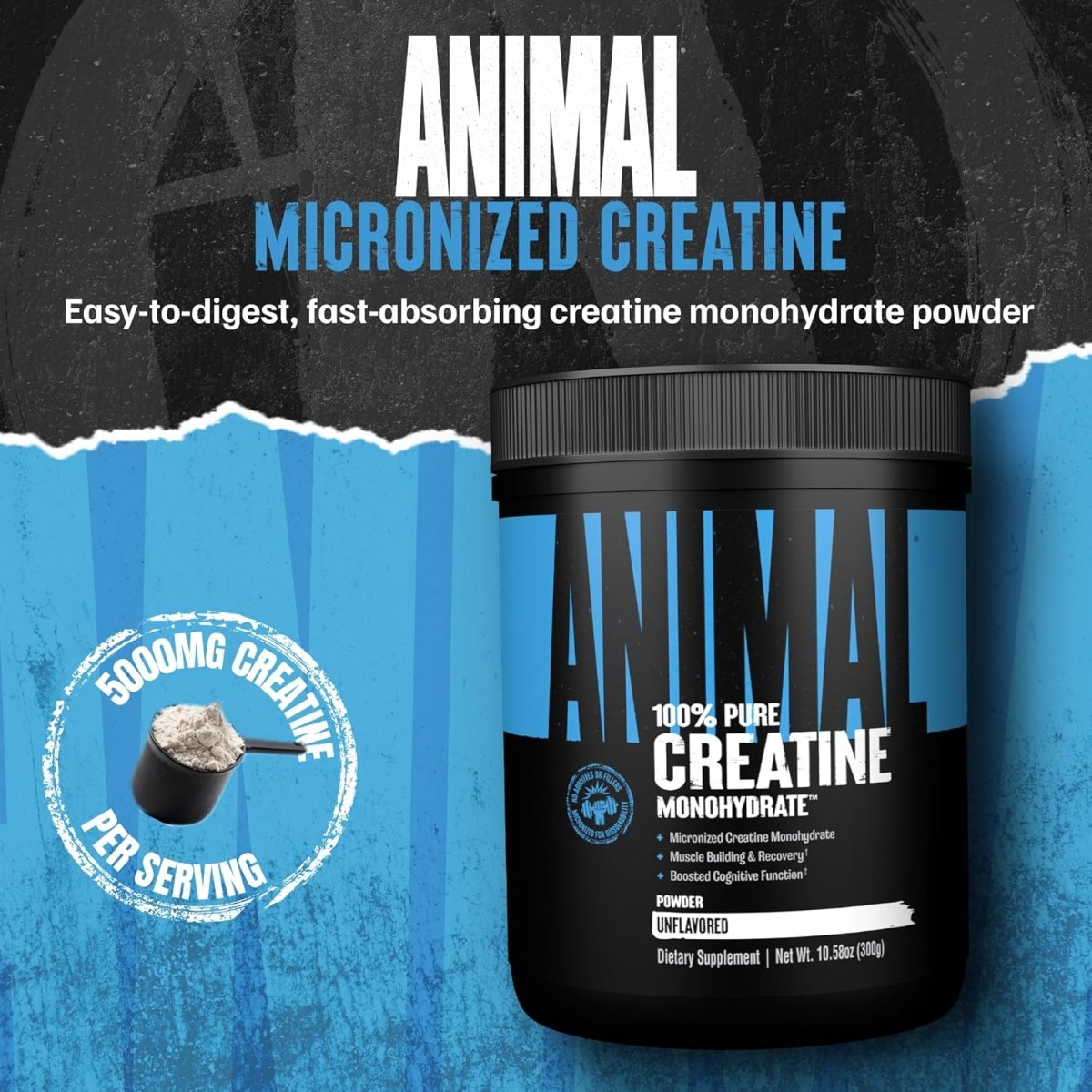 Animal Creatine Monohydrate Powder – Micronized for Muscle Recovery, Cellular Energy & Daily Wellness – Unflavored 300 g - END Nutrition