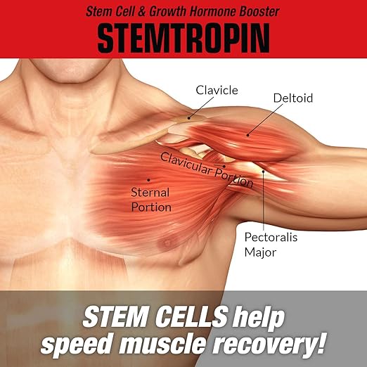MuscleMeds Stemtropin GH Booster – Stem Cell & Growth Support Supplement (60 Capsules) - END Nutrition