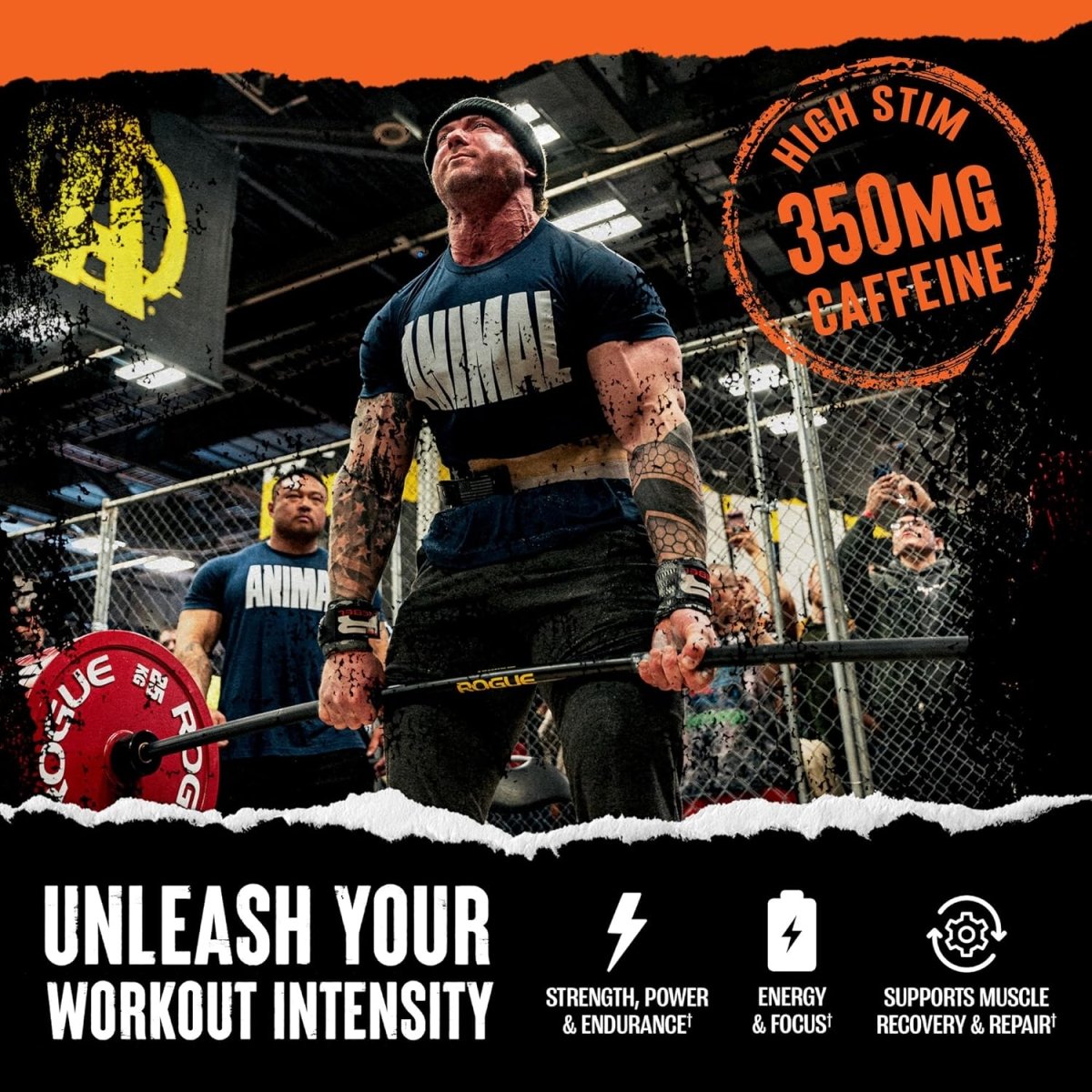 Universal Nutrition Animal Fury – Pre‑Workout Energy & Strength Formula – Citrulline, Beta‑Alanine, Caffeine – Blue Raspberry Powder – 495 g - END General Trading