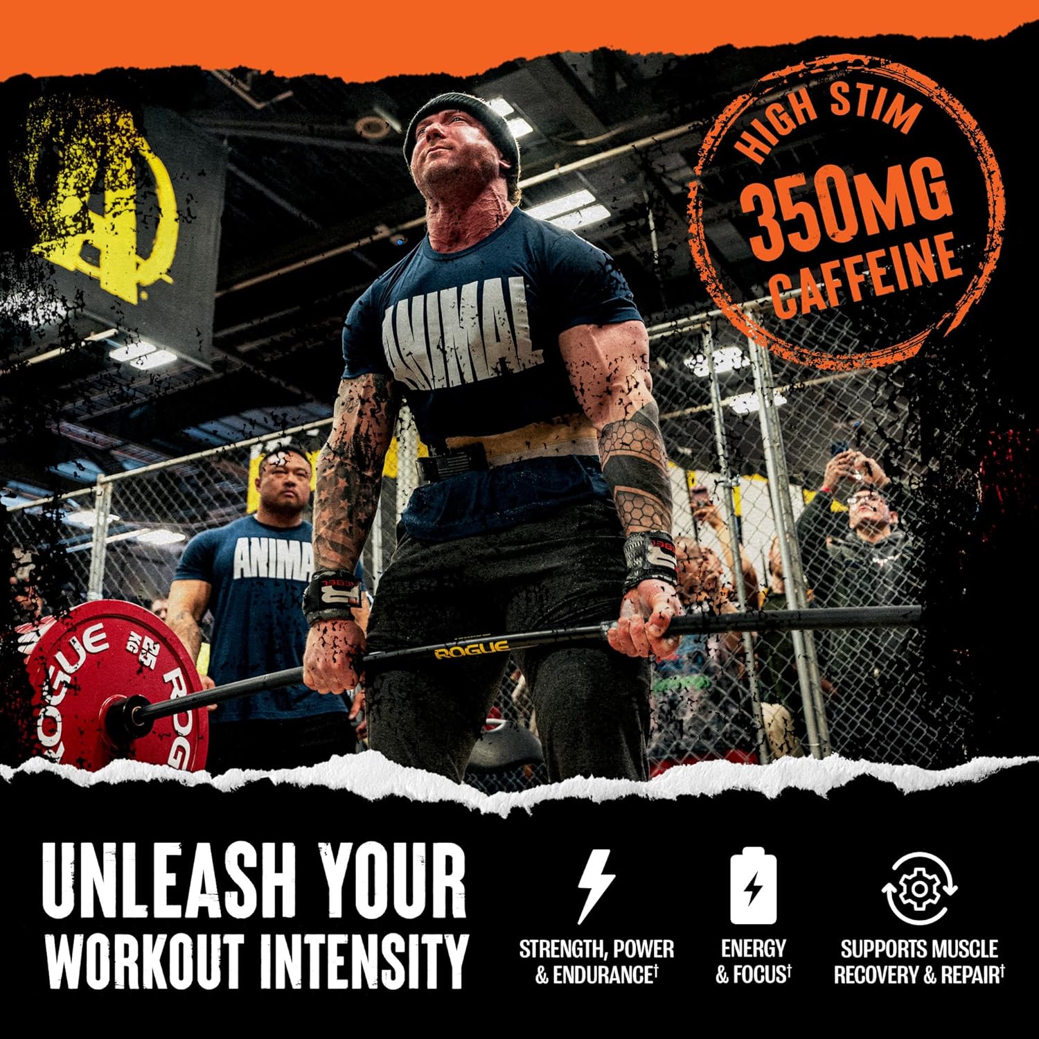 Universal Nutrition Animal Fury – Pre‑Workout Energy & Strength Formula – Citrulline, Beta‑Alanine, Caffeine – Blue Raspberry Powder – 495 g
