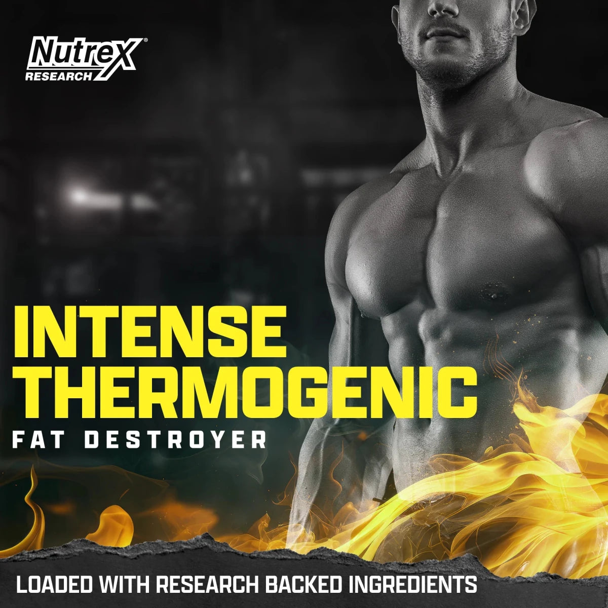 Nutrex Lipo‑6 Black Intense Ultra Concentrate 60 Capsules | Belly Fat Burner, Support Energy - END General Trading