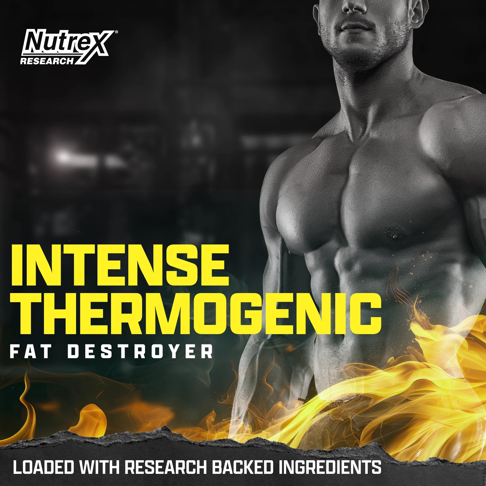 Nutrex Lipo‑6 Black Intense Ultra Concentrate 60 Capsules | Belly Fat Burner,  Support Energy