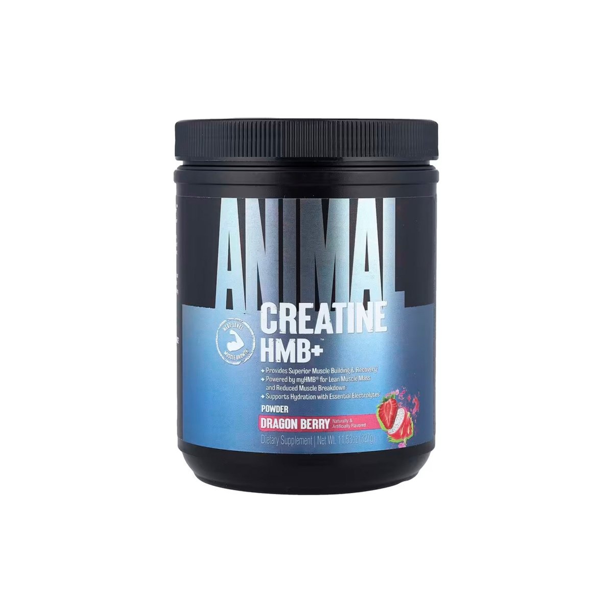 Universal Nutrition Animal Creatine HMB+ – Strength, Recovery & Power Formula – Dragon Berry Flavor – 327 g - endnutrition.com