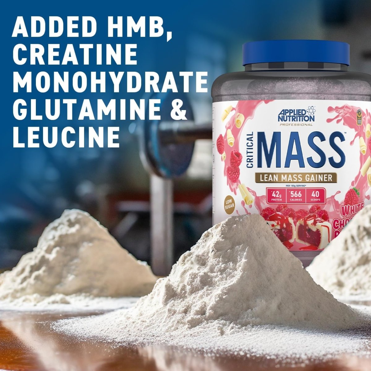 Applied Nutrition Critical Mass Lean Mass Gainz | Vanilla | 2.4kg | 42g Protein, 16 Servings - endnutrition.com