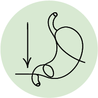 GLP-1 Support