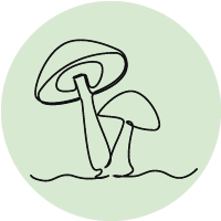 Mushrooms