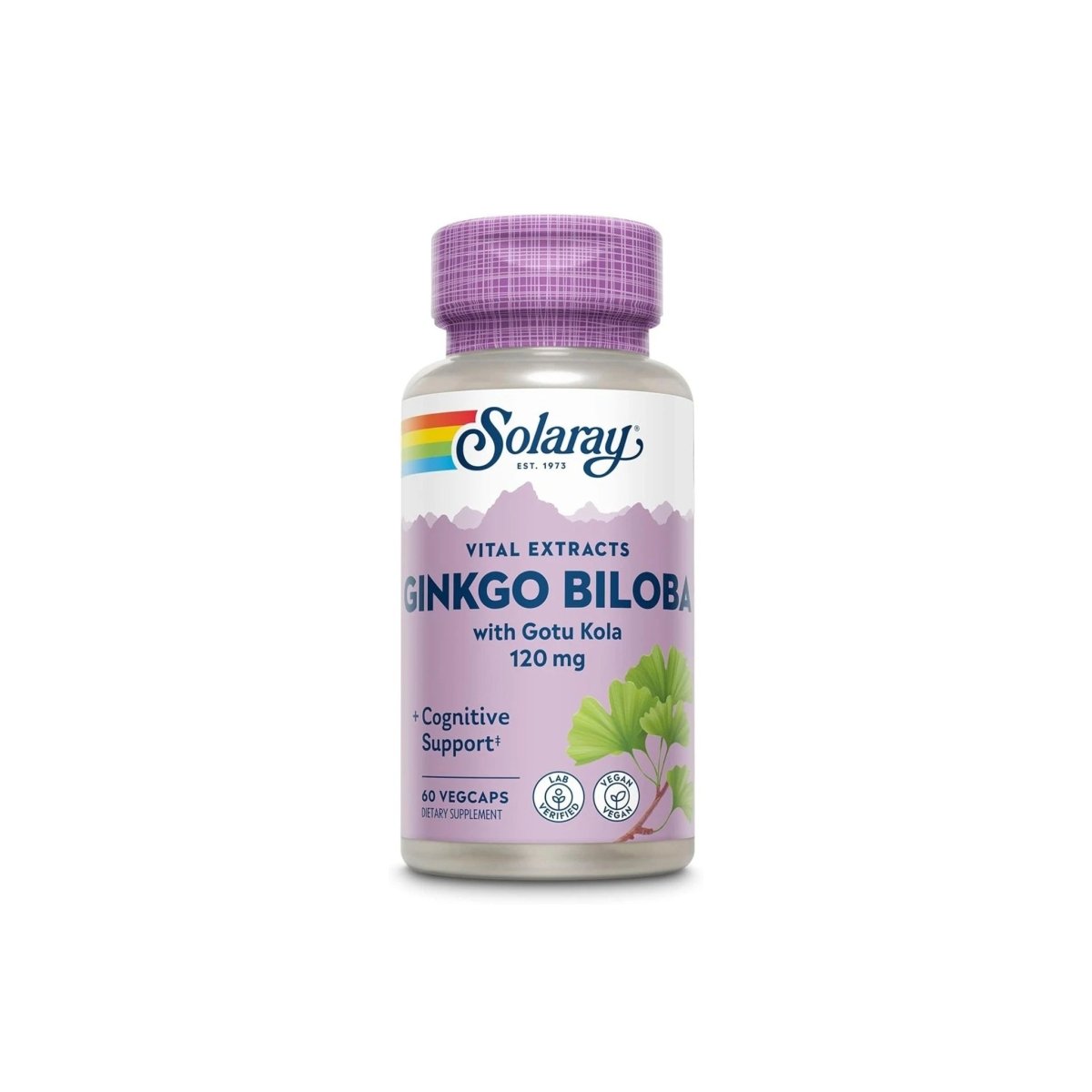 Solaray Ginkgo Biloba Leaf Extract 60mg – Standardized to 24% Flavonglycosides & 6% Terpene Lactones | Vegan | 120 VegCaps - endnutrition.com
